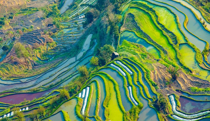 田阳县产品视频拍摄